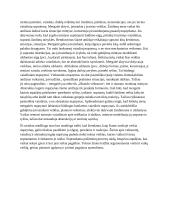 Pasirinkto vaiko pažintiniai procesai 3 puslapis