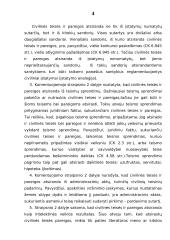 Civilinių teisių įgyvendinimas 4 puslapis