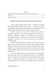 Draudimo intereso samprata 2 puslapis