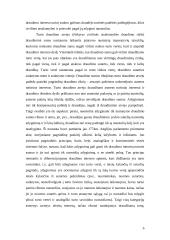 Draudimo intereso samprata 6 puslapis