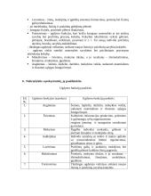 Edukologijos įvadas 15 puslapis