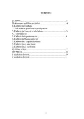 Elektroninės valdžios modeliai. Elektroninės paslaugos 2 puslapis