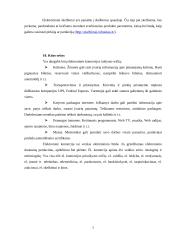 Elektroninės valdžios modeliai. Elektroninės paslaugos 7 puslapis