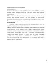 Epideminis parotitas 9 puslapis