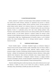 Skaityba kaip sistema. Skaitymas kaip/ir komunikacija. Skaitymo fenomenas 4 puslapis