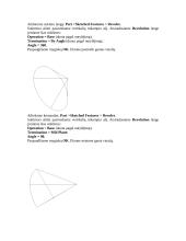 Erdvinių detalių modelių kūrimas 6 puslapis
