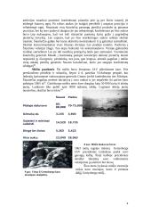 Getisburgo mūšis 4 puslapis