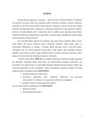 Grįžusiųjų iš įkalinimo įstaigų integracija per mokymąsi 2 puslapis