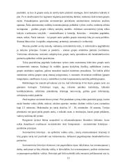 Vaiko sociometrinio statuso atspindys klasės piešinyje 12 puslapis