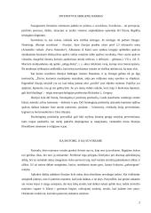 Iliuzijos ir jų reikšmė 2 puslapis