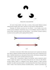 Iliuzijos ir jų reikšmė 4 puslapis