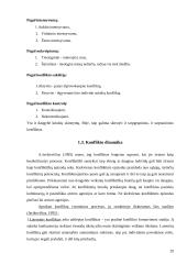 Konfliktai ir jų valdymas profesinėje mokykloje 19 puslapis