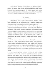 Indijos kraštas ir jos gyventojai 12 puslapis