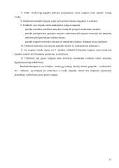 Viešojo saugumo strategijos formavimas organizuojant visuomenės saugumo ir viešosios tvarkos užtikrinimą masiniuose renginiuose 14 puslapis