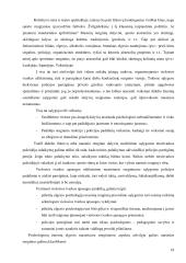 Viešojo saugumo strategijos formavimas organizuojant visuomenės saugumo ir viešosios tvarkos užtikrinimą masiniuose renginiuose 17 puslapis