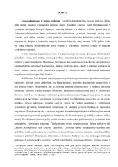 Viešojo saugumo strategijos formavimas organizuojant visuomenės saugumo ir viešosios tvarkos užtikrinimą masiniuose renginiuose 2 puslapis