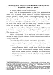 Viešojo saugumo strategijos formavimas organizuojant visuomenės saugumo ir viešosios tvarkos užtikrinimą masiniuose renginiuose 6 puslapis