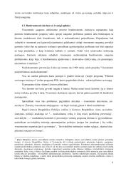 Viešojo saugumo strategijos formavimas organizuojant visuomenės saugumo ir viešosios tvarkos užtikrinimą masiniuose renginiuose 8 puslapis