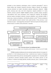 Prievartos priemonių panaudojimo prieš transporto priemonių vairuotojus, kurie nepaklūsta policijos pareigūnų reikalavimui sustoti, aspektai 16 puslapis