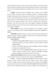 Prievartos priemonių panaudojimo prieš transporto priemonių vairuotojus, kurie nepaklūsta policijos pareigūnų reikalavimui sustoti, aspektai 6 puslapis