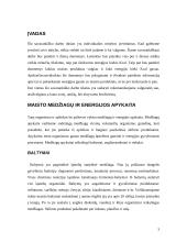 Individualios mitybos įvertinimas 3 puslapis