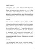 Individualios mitybos įvertinimas 4 puslapis