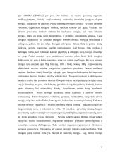 Individualios mitybos įvertinimas 6 puslapis