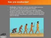 Evoliucijos teorija ir jos įrodymai 2 puslapis