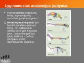 Evoliucijos teorija ir jos įrodymai 11 puslapis