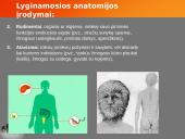 Evoliucijos teorija ir jos įrodymai 12 puslapis