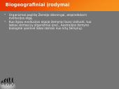 Evoliucijos teorija ir jos įrodymai 14 puslapis