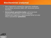 Evoliucijos teorija ir jos įrodymai 15 puslapis