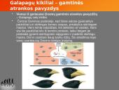 Evoliucijos teorija ir jos įrodymai 5 puslapis