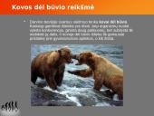 Evoliucijos teorija ir jos įrodymai 6 puslapis