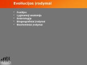 Evoliucijos teorija ir jos įrodymai 7 puslapis