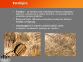 Evoliucijos teorija ir jos įrodymai 8 puslapis