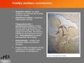 Evoliucijos teorija ir jos įrodymai 10 puslapis