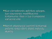 Modifikacinis kintamumas (skaidrės) 11 puslapis