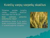 Modifikacinis kintamumas (skaidrės) 12 puslapis