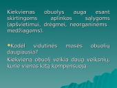 Modifikacinis kintamumas (skaidrės) 18 puslapis