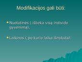 Modifikacinis kintamumas (skaidrės) 19 puslapis
