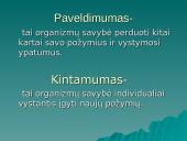 Modifikacinis kintamumas (skaidrės) 3 puslapis