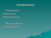 Modifikacinis kintamumas (skaidrės) 4 puslapis