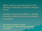 Modifikacinis kintamumas (skaidrės) 6 puslapis