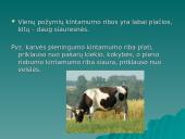 Modifikacinis kintamumas (skaidrės) 8 puslapis