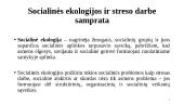 Streso šaltiniai darbe ir socialinė atskirtis socialinės ekologijos požiūriu 2 puslapis