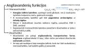 Angliavandeniai. Struktūra ir funkcijos 7 puslapis