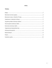 Benamystės reiškinys Vilniuje: priežastys, tendencijos ir socialinės gerovės teikėjų vaidmuo