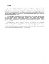 Benamystės reiškinys Vilniuje: priežastys, tendencijos ir socialinės gerovės teikėjų vaidmuo 2 puslapis