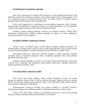 Benamystės reiškinys Vilniuje: priežastys, tendencijos ir socialinės gerovės teikėjų vaidmuo 4 puslapis